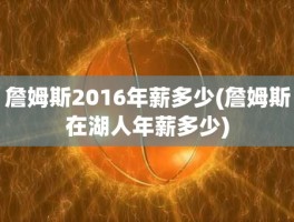 詹姆斯2016年薪多少(詹姆斯在湖人年薪多少)