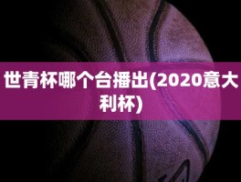 世青杯哪个台播出(2020意大利杯)