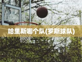 哈里斯哪个队(罗斯球队)