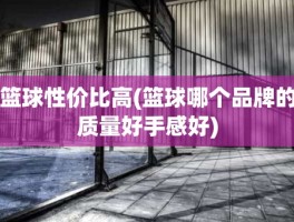 篮球性价比高(篮球哪个品牌的质量好手感好)