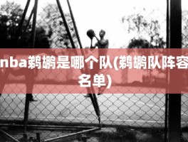 nba鹈鹕是哪个队(鹈鹕队阵容名单)