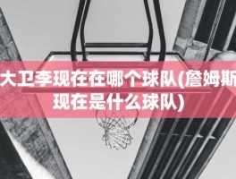大卫李现在在哪个球队(詹姆斯现在是什么球队)