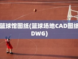 篮球馆图纸(篮球场地CAD图纸DWG)