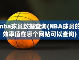 nba球员数据查询(NBA球员的效率值在哪个网站可以查询)