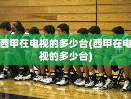 西甲在电视的多少台(西甲在电视的多少台)