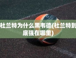 杜兰特为什么黑韦德(杜兰特到底强在哪里)
