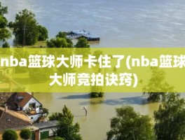 nba篮球大师卡住了(nba篮球大师竞拍诀窍)