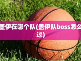 盖伊在哪个队(盖伊队boss怎么过)