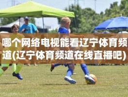 哪个网络电视能看辽宁体育频道(辽宁体育频道在线直播吧)