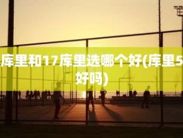 库里和17库里选哪个好(库里5好吗)