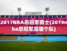2017NBA总冠军勇士(2019nba总冠军是哪个队)