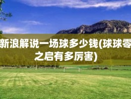 新浪解说一场球多少钱(球球零之启有多厉害)