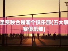 圣费联合是哪个俱乐部(五大联赛俱乐部)