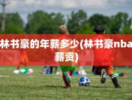 林书豪的年薪多少(林书豪nba薪资)