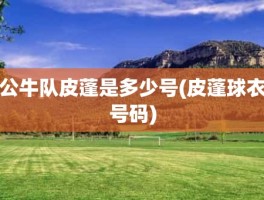 公牛队皮蓬是多少号(皮蓬球衣号码)