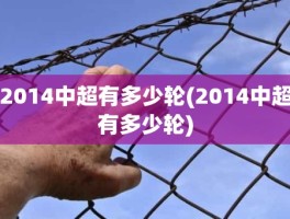 2014中超有多少轮(2014中超有多少轮)