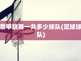 意甲联赛一共多少球队(足球球队)