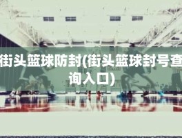 街头篮球防封(街头篮球封号查询入口)
