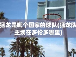 猛龙是哪个国家的球队(猛龙队主场在多伦多哪里)