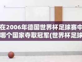 在2006年德国世界杯足球赛中哪个国家夺取冠军(世界杯足球赛的首届冠军是哪个国家)