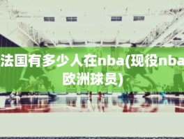 法国有多少人在nba(现役nba欧洲球员)