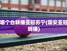 哪个台转播亚冠苏宁(国安亚冠转播)