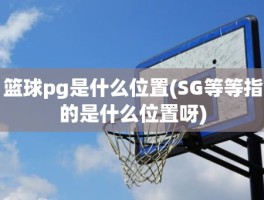 篮球pg是什么位置(SG等等指的是什么位置呀)
