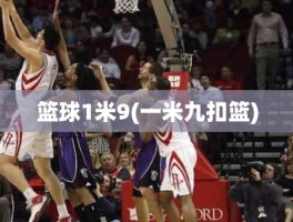 篮球1米9(一米九扣篮)