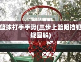 篮球打手手势(三步上篮阻挡犯规图解)
