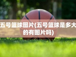 五号篮球图片(五号篮球是多大的有图片吗)