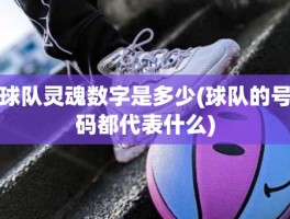 球队灵魂数字是多少(球队的号码都代表什么)
