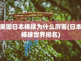 美国日本棒球为什么厉害(日本棒球世界排名)