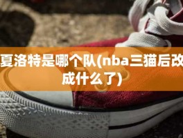 夏洛特是哪个队(nba三猫后改成什么了)