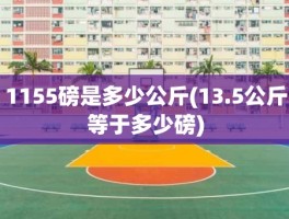 1155磅是多少公斤(13.5公斤等于多少磅)