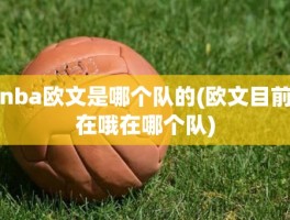 nba欧文是哪个队的(欧文目前在哦在哪个队)