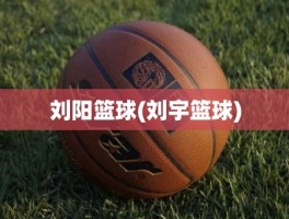 刘阳篮球(刘宇篮球)