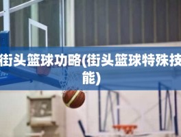 街头篮球功略(街头篮球特殊技能)