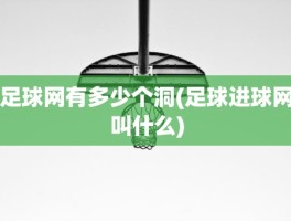 足球网有多少个洞(足球进球网叫什么)