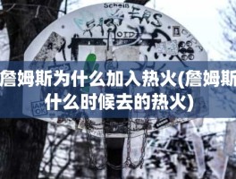 詹姆斯为什么加入热火(詹姆斯什么时候去的热火)