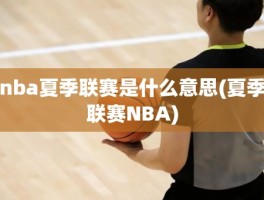 nba夏季联赛是什么意思(夏季联赛NBA)