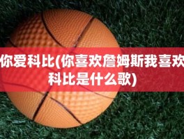 你爱科比(你喜欢詹姆斯我喜欢科比是什么歌)