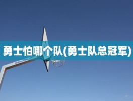 勇士怕哪个队(勇士队总冠军)