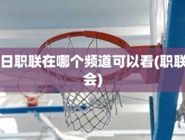 日职联在哪个频道可以看(职联会)