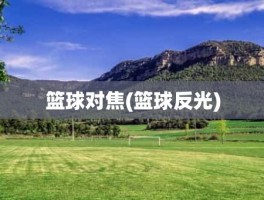 篮球对焦(篮球反光)
