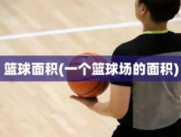 篮球面积(一个篮球场的面积)