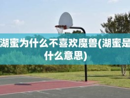 湖蜜为什么不喜欢魔兽(湖蜜是什么意思)