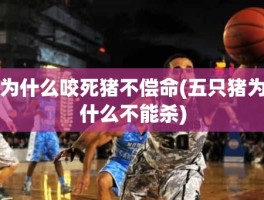 为什么咬死猪不偿命(五只猪为什么不能杀)
