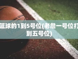篮球的1到5号位(老詹一号位打到五号位)