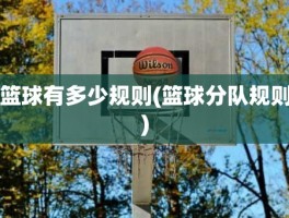 篮球有多少规则(篮球分队规则)