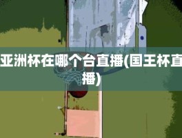 亚洲杯在哪个台直播(国王杯直播)